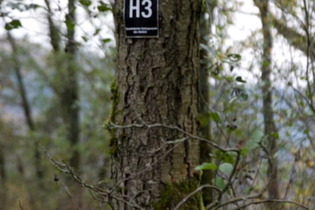 Photo of Others in Hildfeld