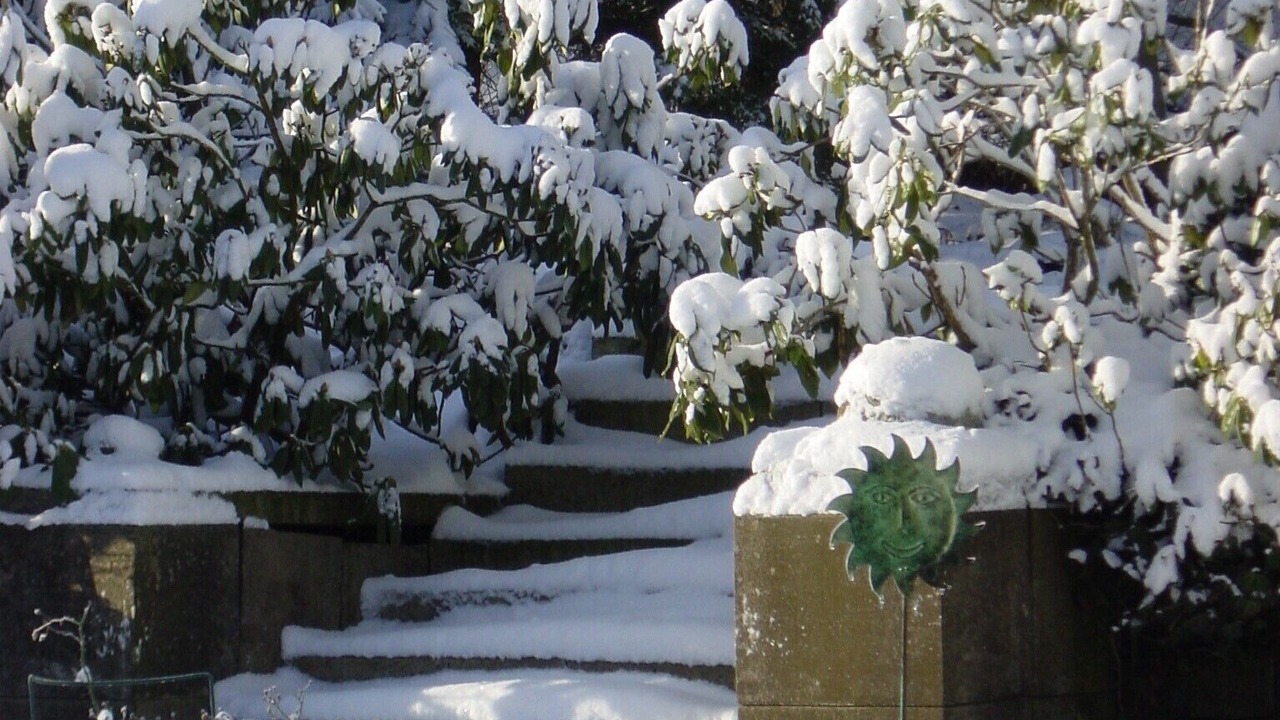 Photo of Outdoor in Silbach