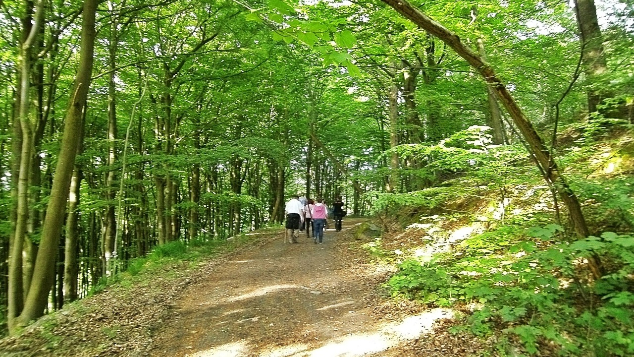 Photo of Outdoor in Silbach