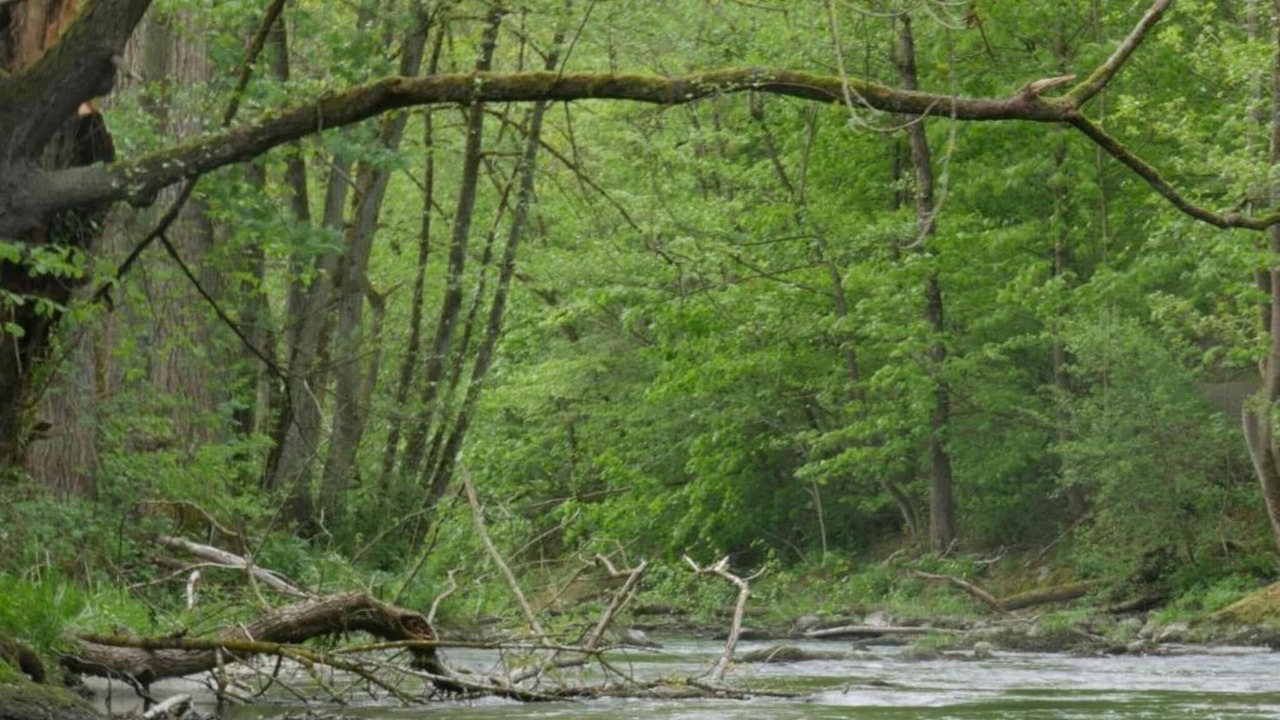 Photo of Others in Wehrstapel