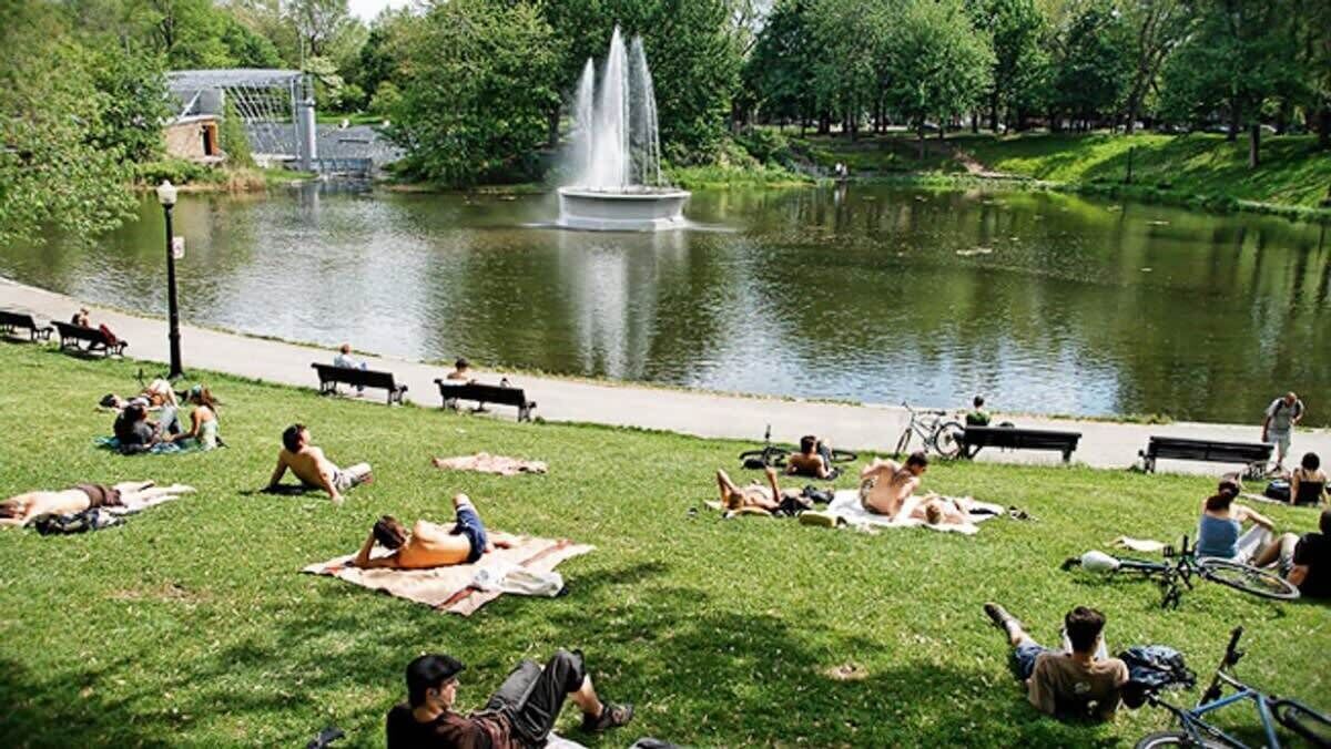 Photo of Outdoor in Milton Park