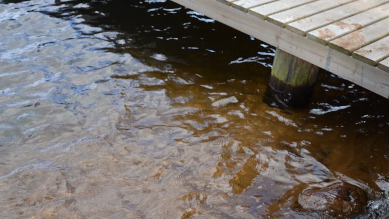 Photo of Others in Watersmeet
