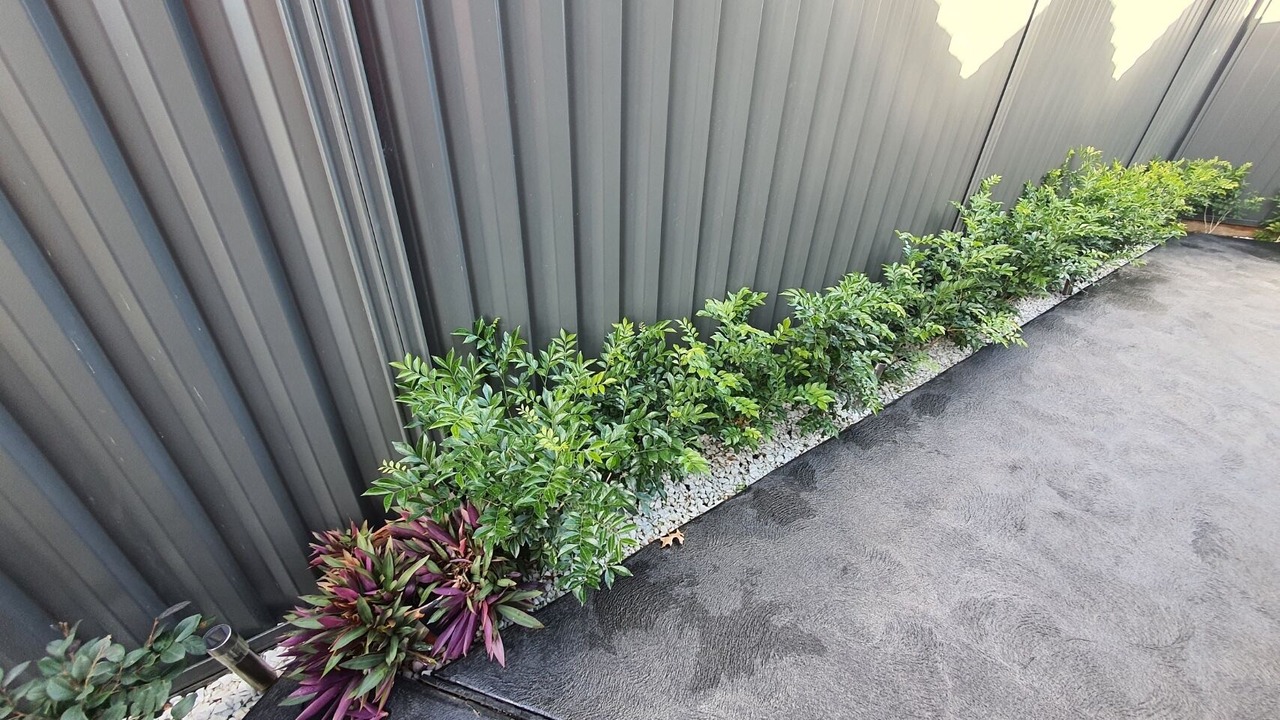 Photo of Others in Oran Park