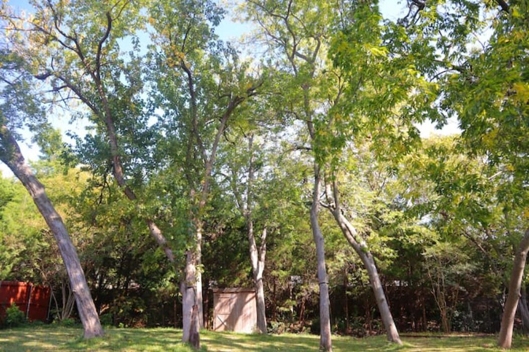Photo of Outdoor in Murphy