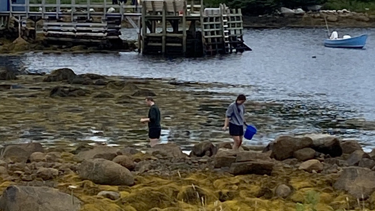 Photo of Others in Halifax County