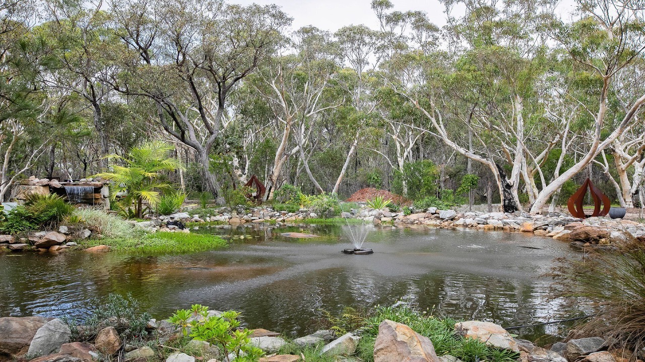 Photo of Outdoor in Berrilee