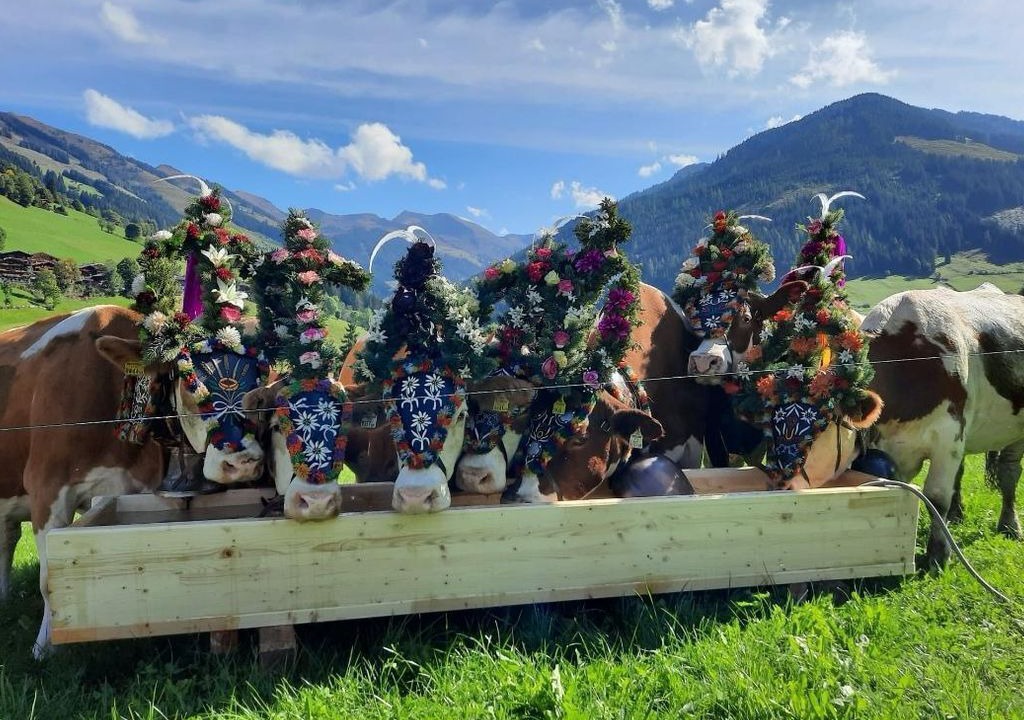 Photo of Others in Alpbach