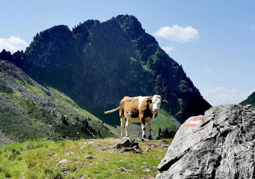Photo of Others in Alpbach