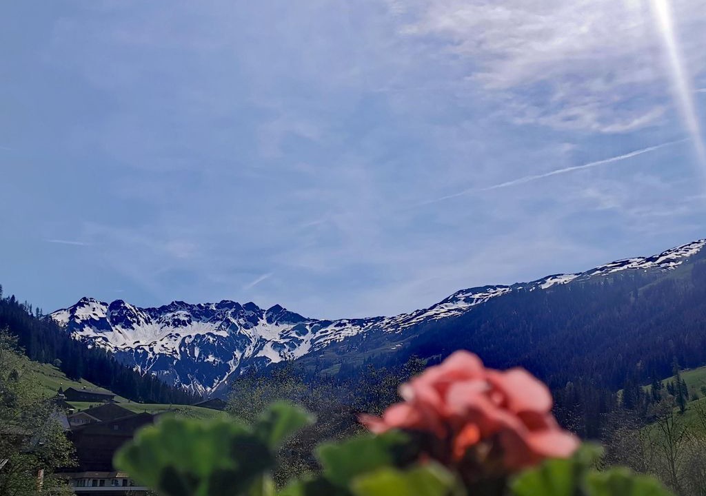 Photo of Others in Alpbach