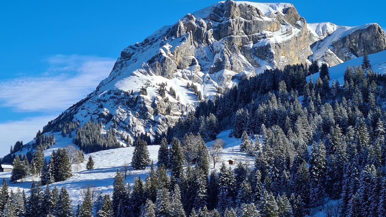 Photo of Others in Axalp