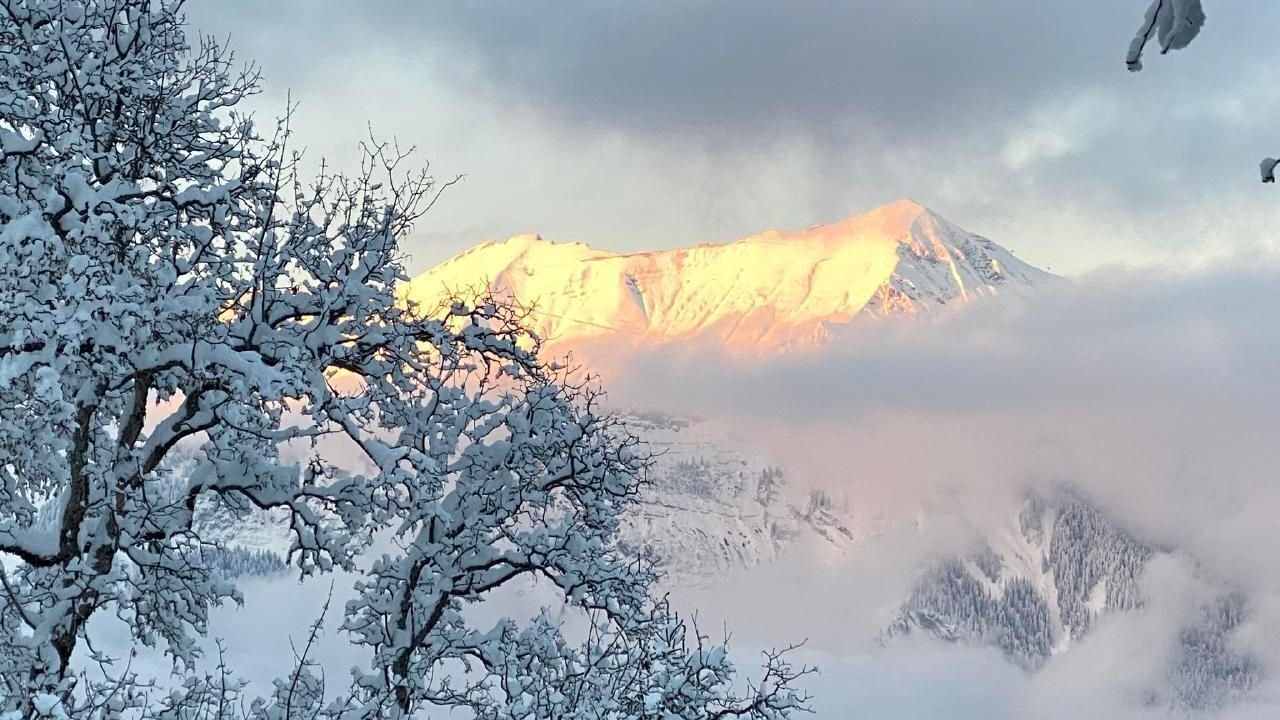 Photo of Others in Axalp