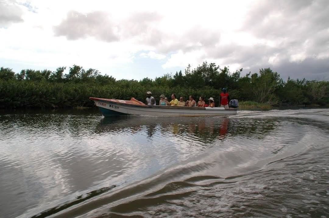 Photo of Others in Little Bay