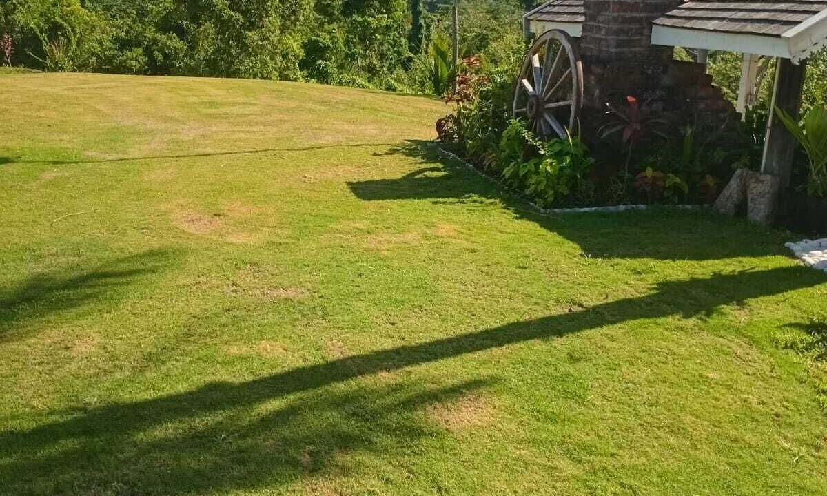 Photo of Outdoor in Little Bay