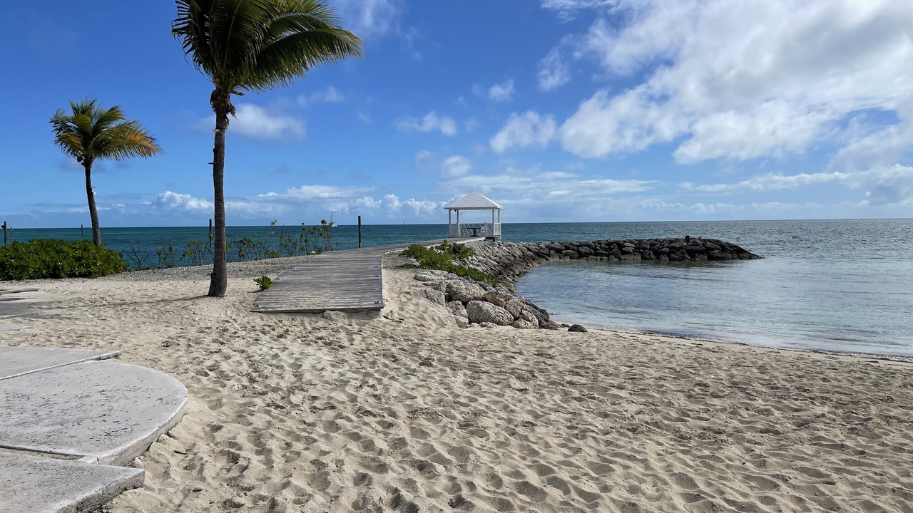 Photo of Others in Palm Cay