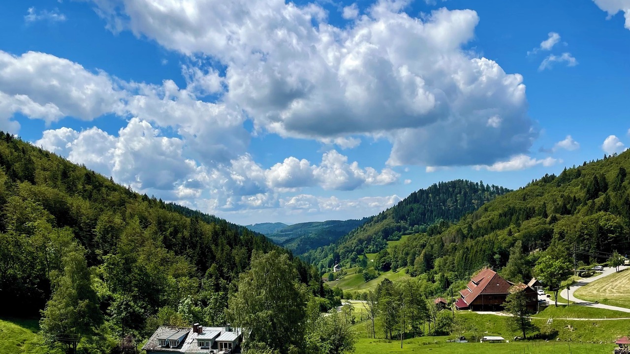 Photo of Others in Kleines Wiesental