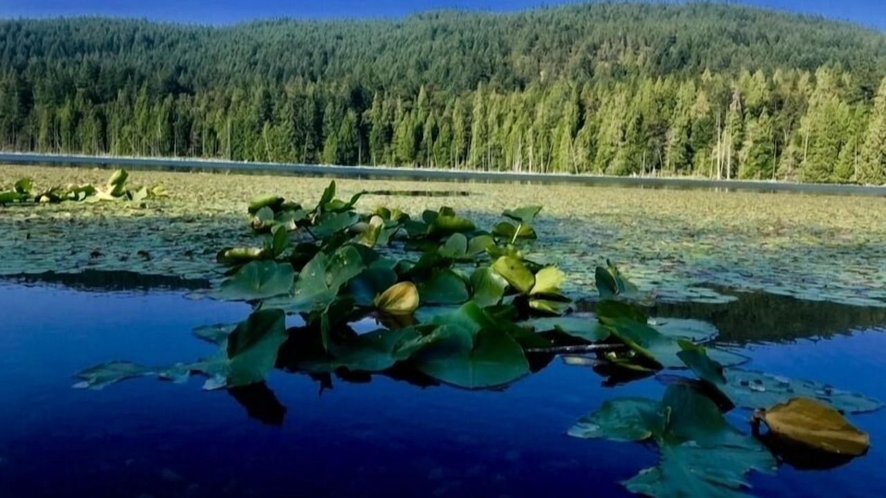 Photo of Outdoor in Bowen Island