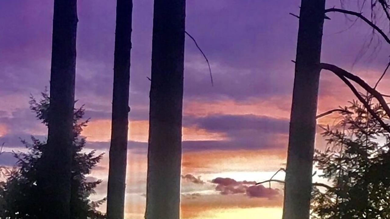 Photo of Others in Bowen Island