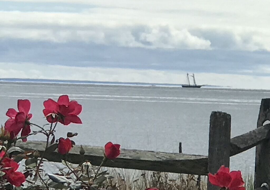 Photo of Outdoor in Waterford