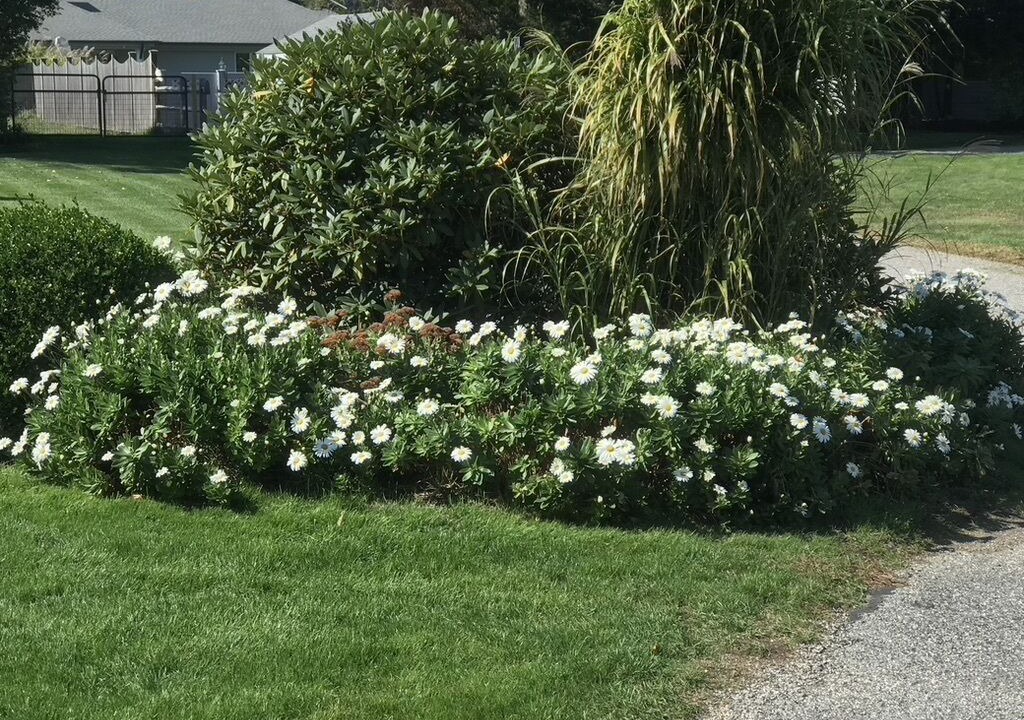 Photo of Outdoor in Waterford