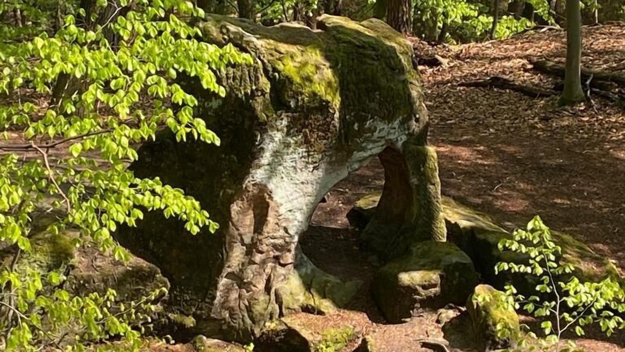 Photo of Outdoor in Muersbach