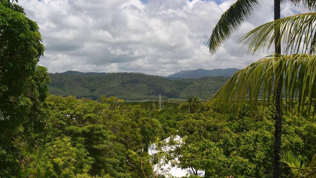 Photo of Others in Port Douglas