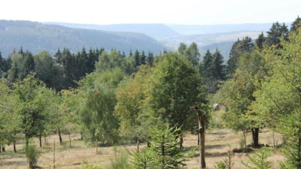 Photo of Others in Goldlauter