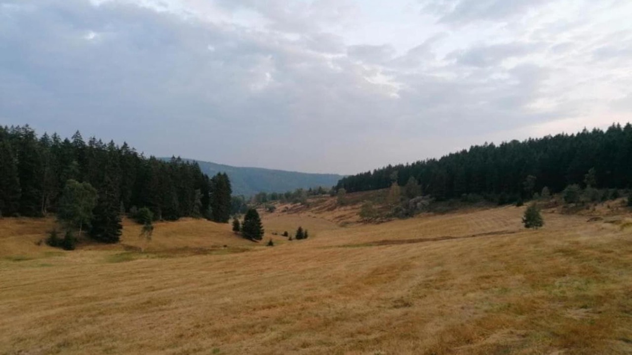 Photo of Others in Goldlauter