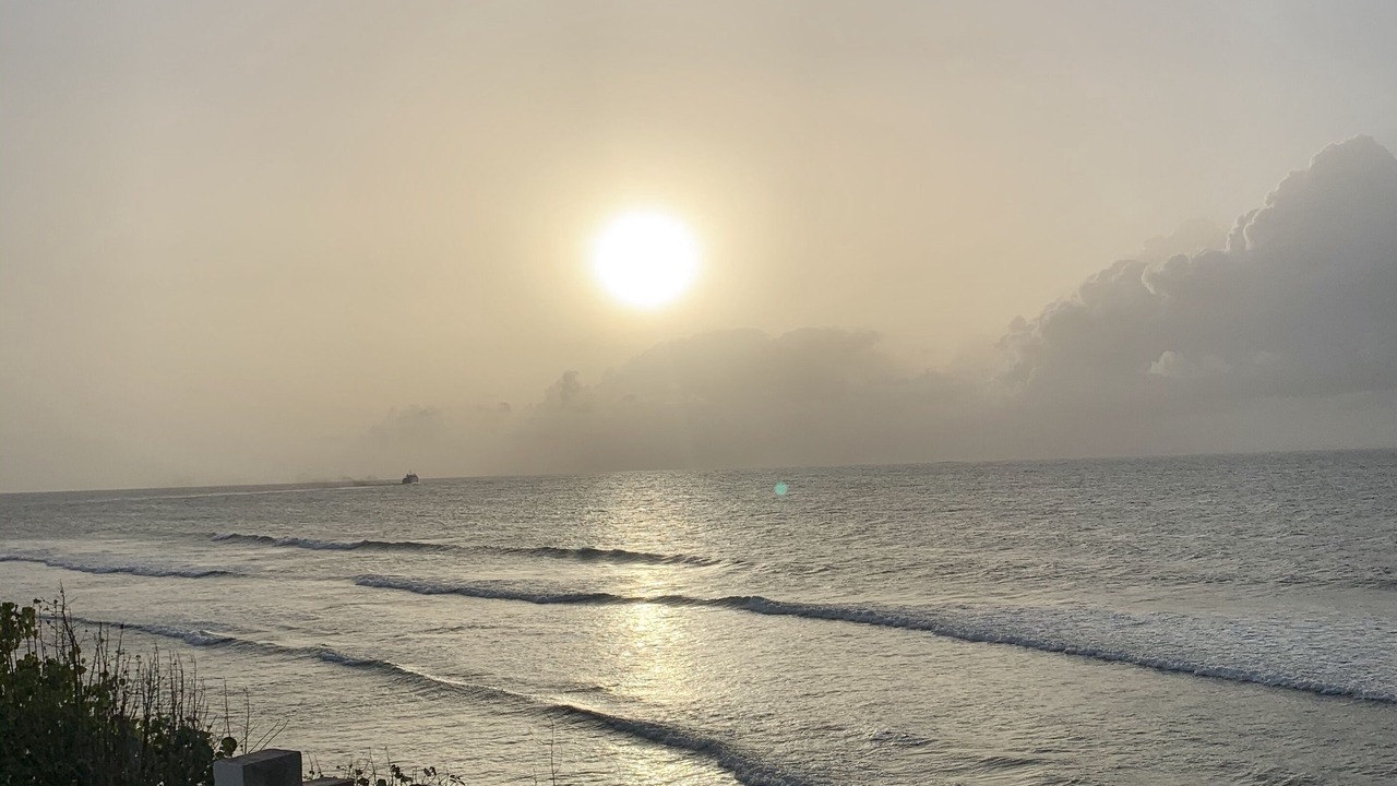 Photo of Others in Puerto Ferro
