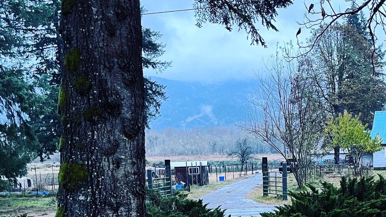 Photo of Outdoor in Randle