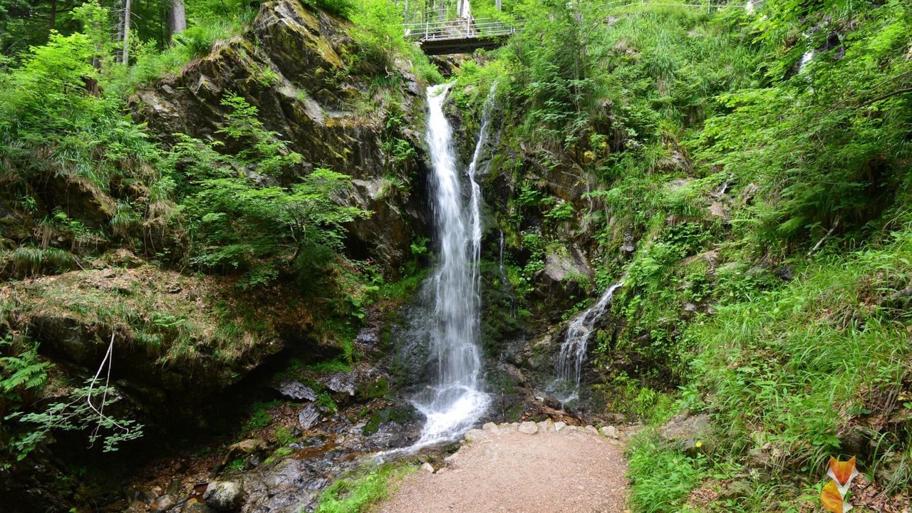 Photo of Outdoor in Barental