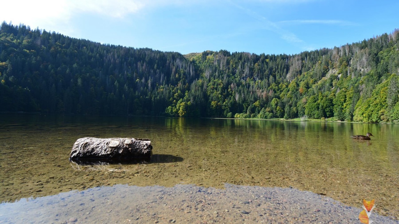 Photo of Outdoor in Barental
