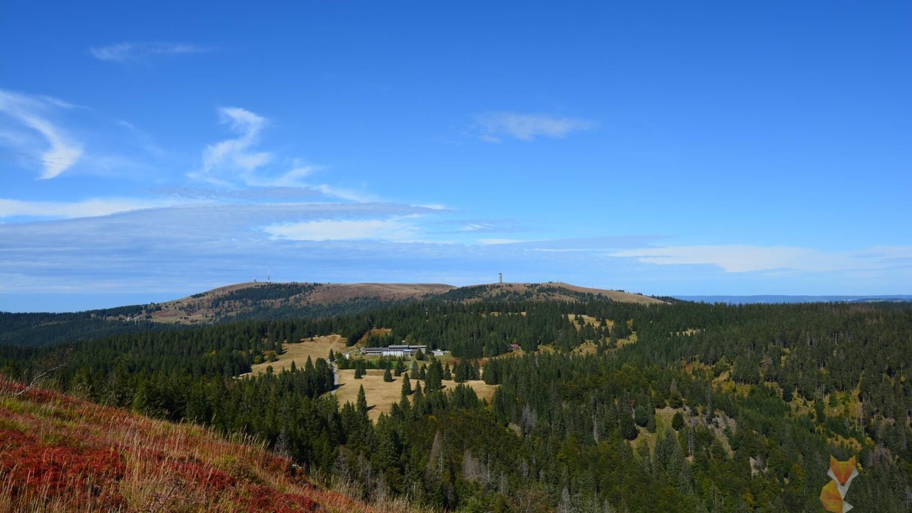 Photo of Others in Barental