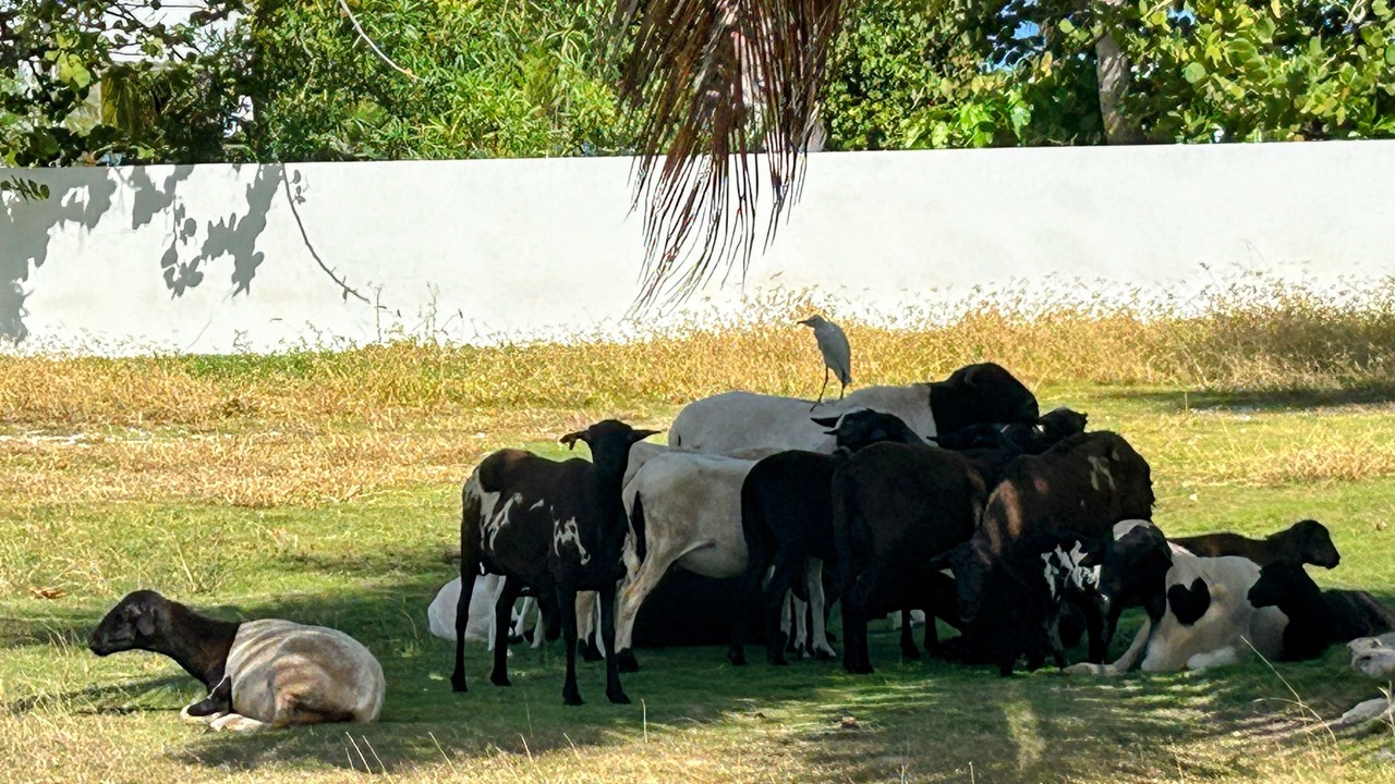Photo of Others in The Valley
