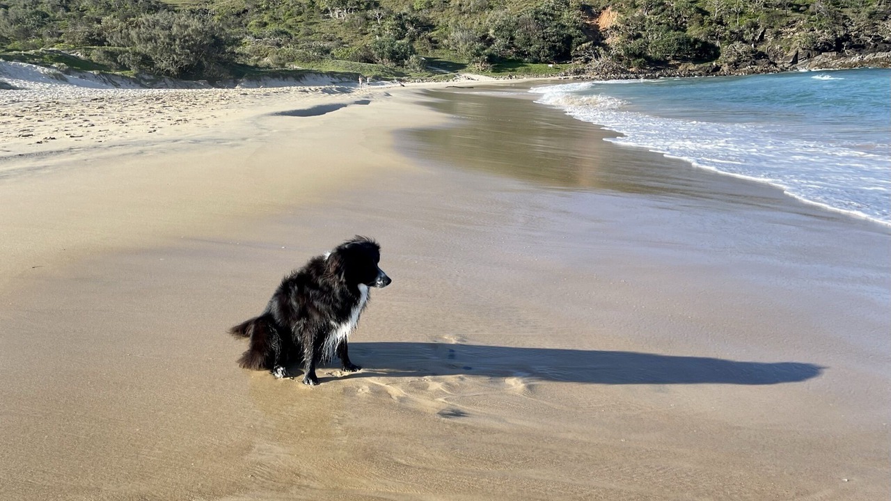 Photo of Others in Sunrise Beach