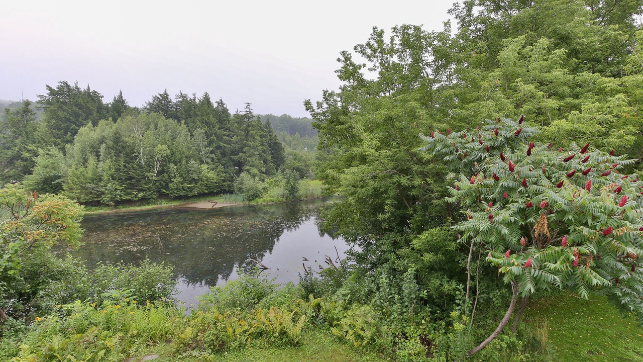 Photo of Outdoor in Knowlton