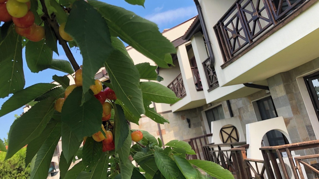 Photo of Outdoor in Sunny Beach