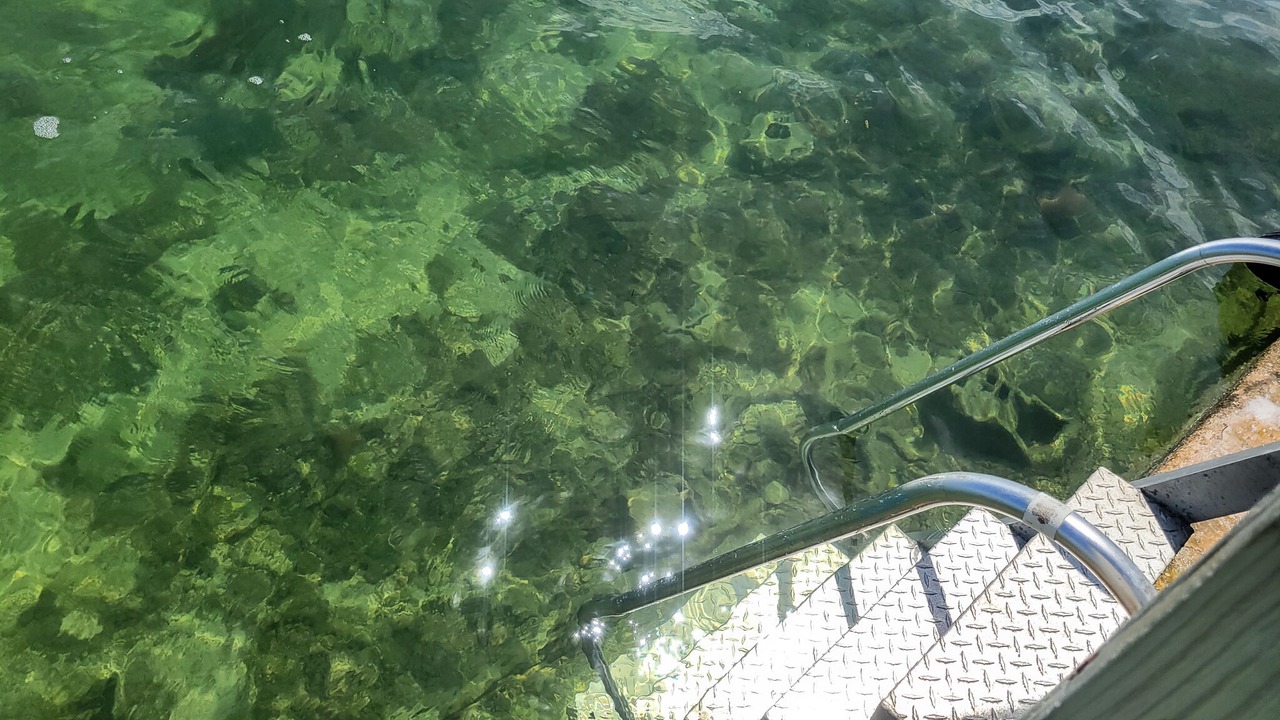 Photo of Others in Cudjoe Key