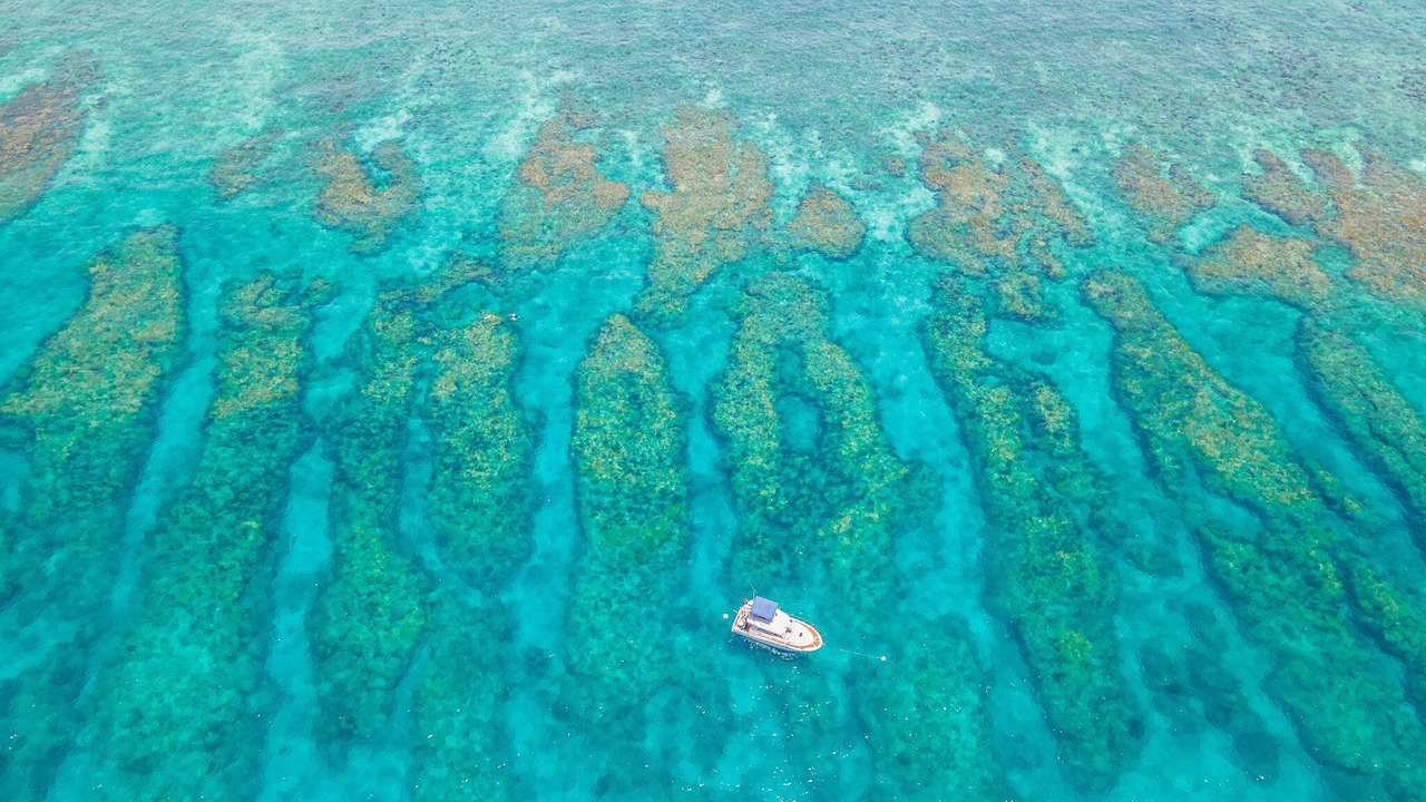 Photo of Others in Cudjoe Key