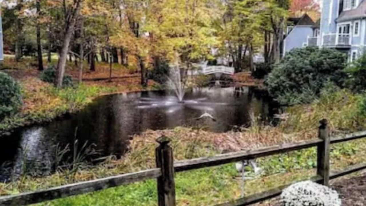 Photo of Outdoor in Norwich