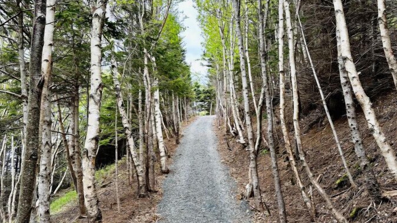 Photo of Others in Inverness County