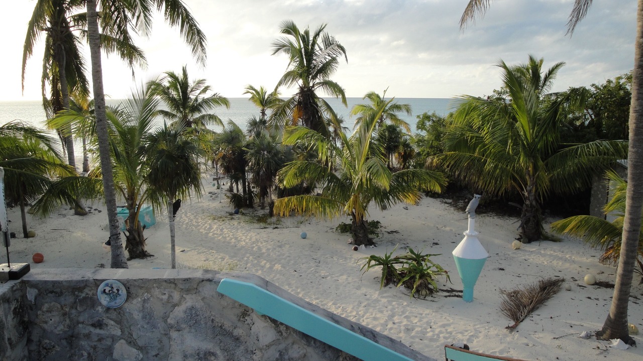 Photo of Others in Old Bight