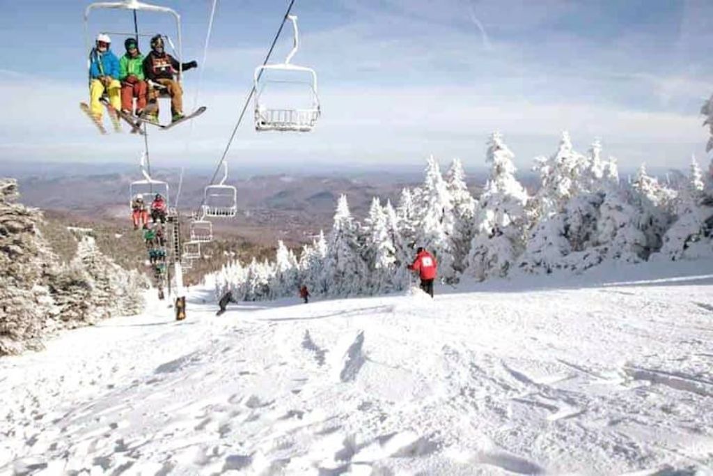 Photo of Others in Pittsfield