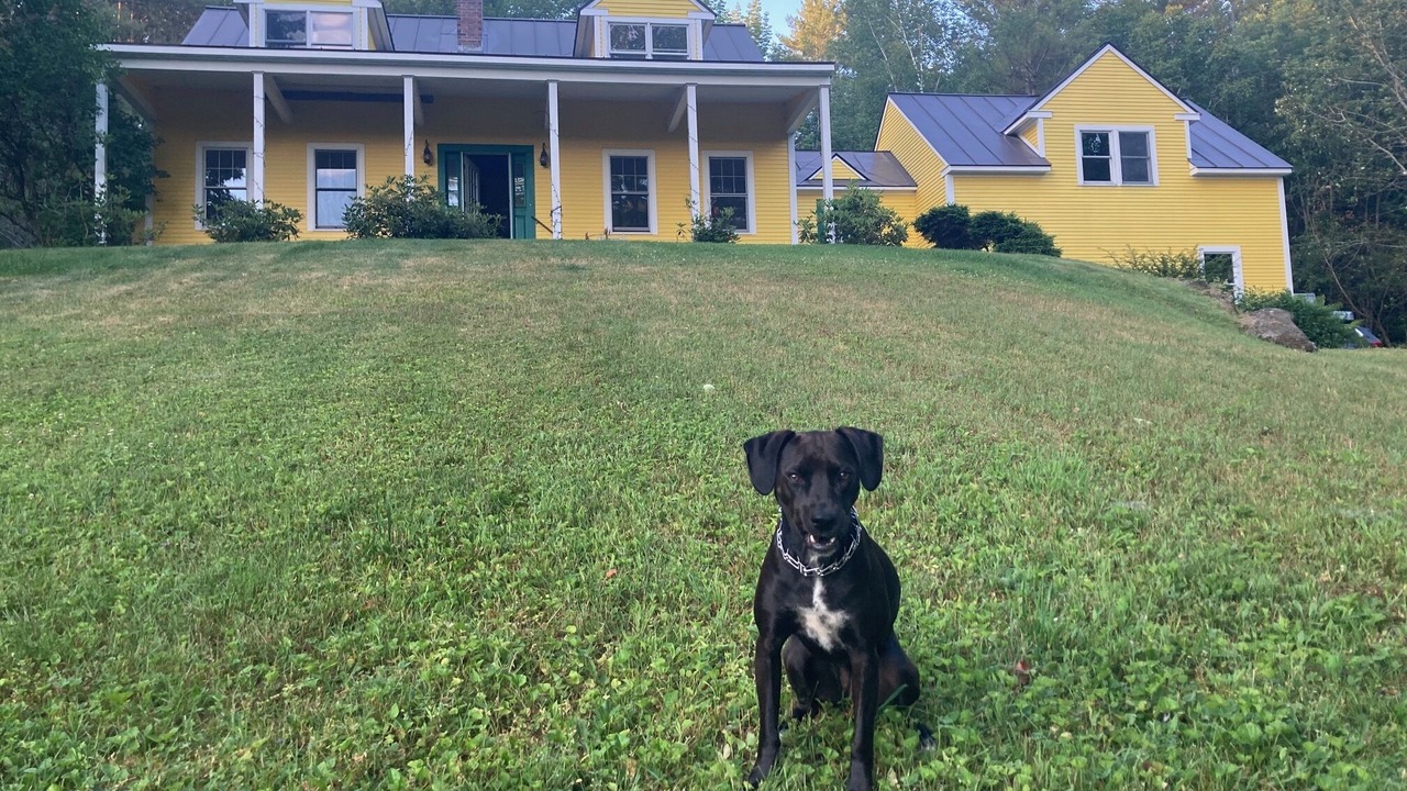 Photo of Others in West Woodstock