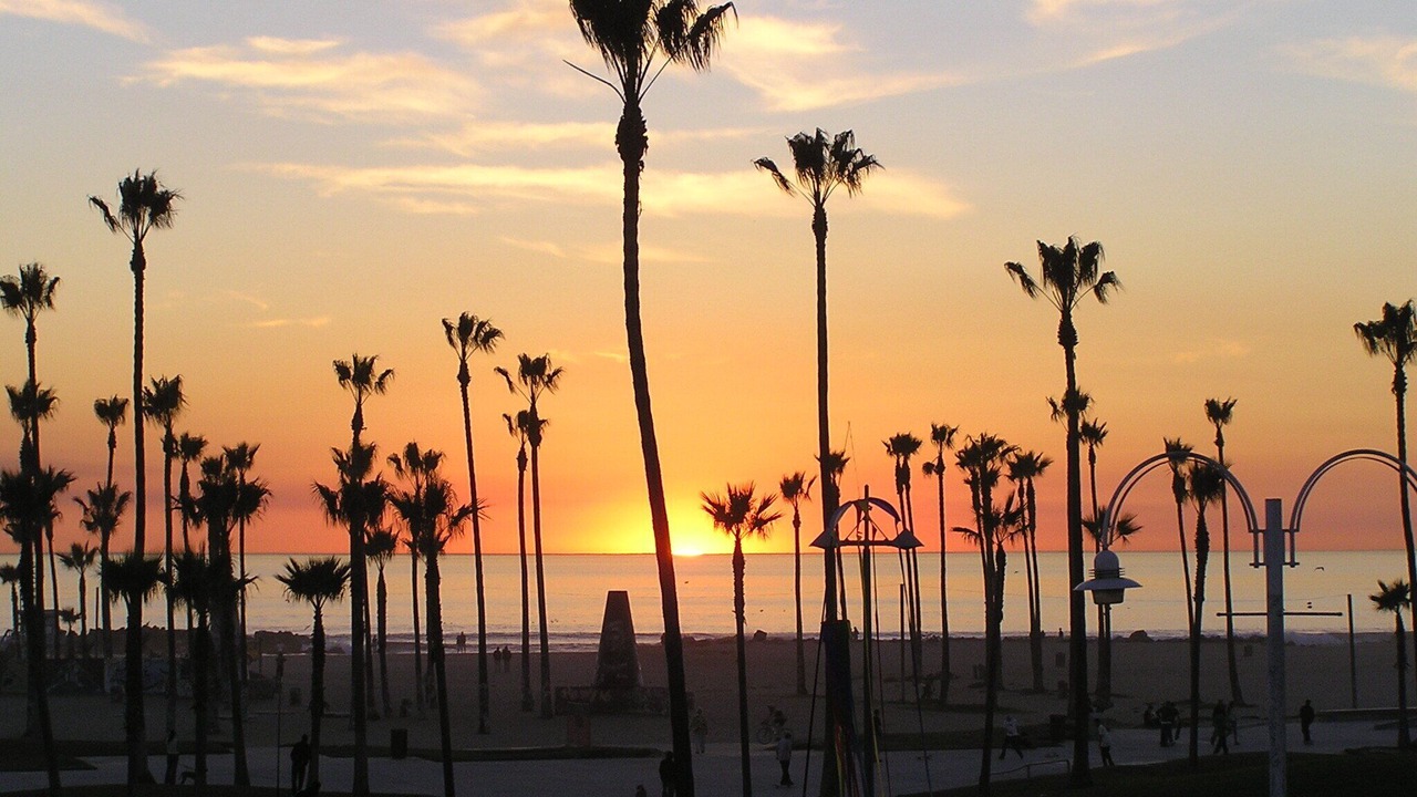 Photo of Others in Mar Vista