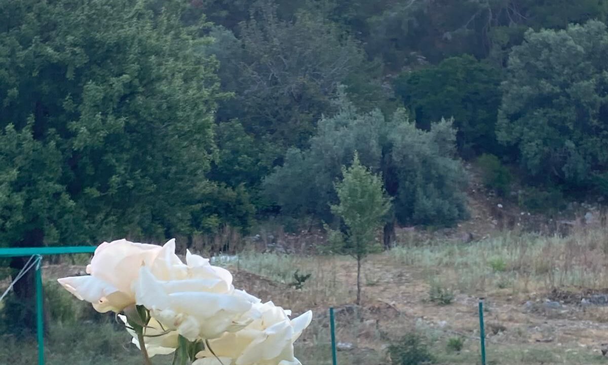 Photo of Outdoor in Kumluca