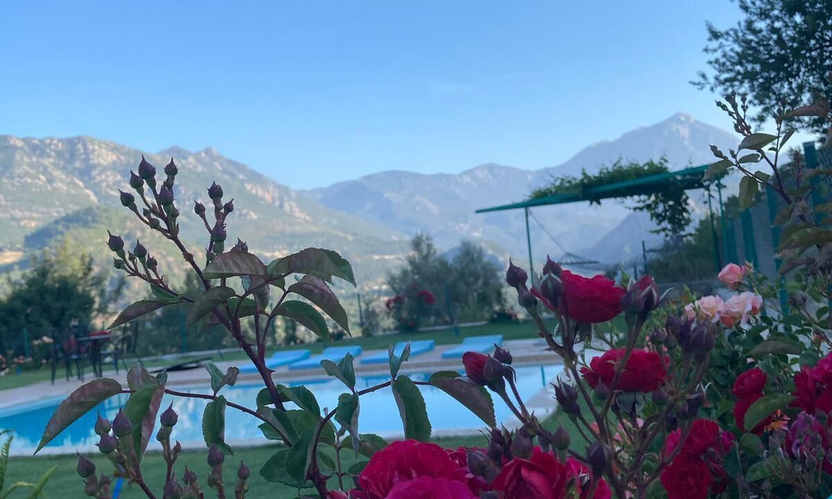 Photo of Outdoor in Kumluca