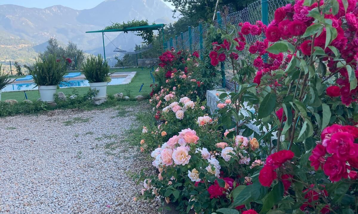 Photo of Outdoor in Kumluca