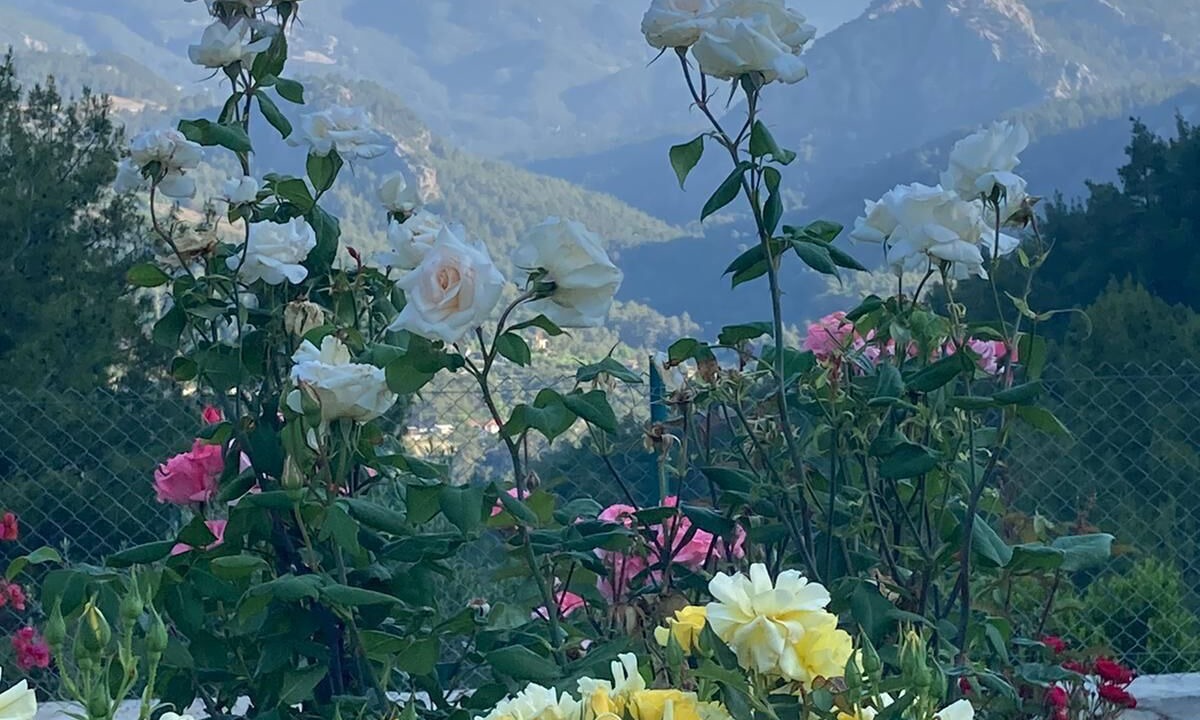 Photo of Outdoor in Kumluca