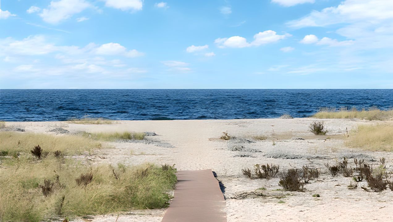 Photo of Others in Mattituck