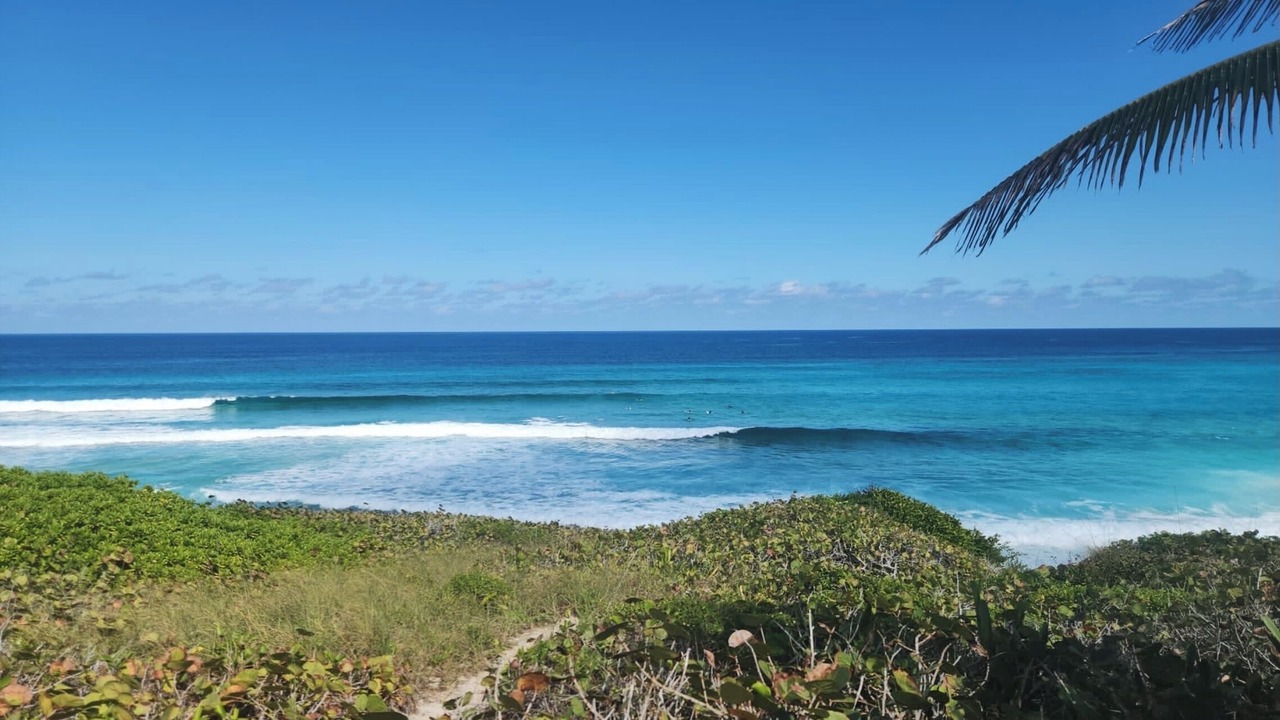 Photo of Others in Rainbow Bay